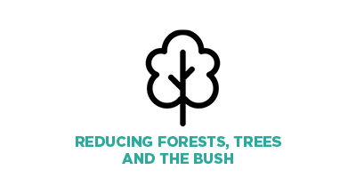 Forests.  